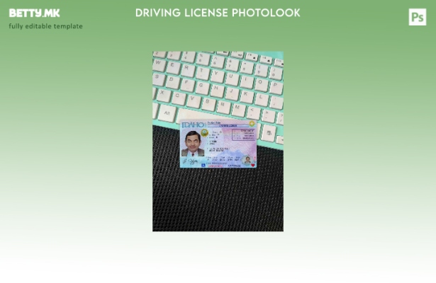 модерен стил USA Idaho DL photolook FRONT шаблон